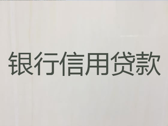 黄骅市贷款公司-银行信用贷款